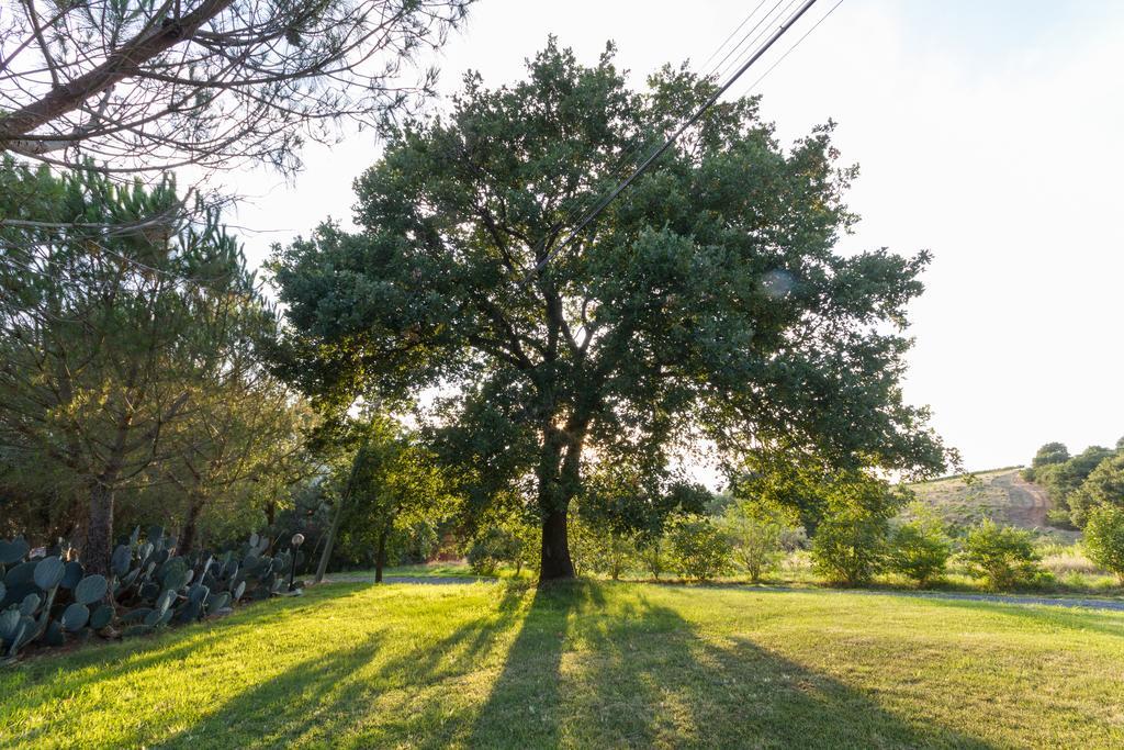 Agriturismo Cupido Montiano  Bagian luar foto