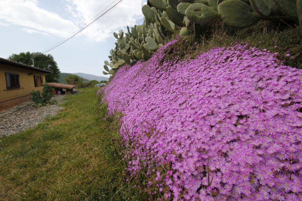 Agriturismo Cupido Montiano  Ruang foto
