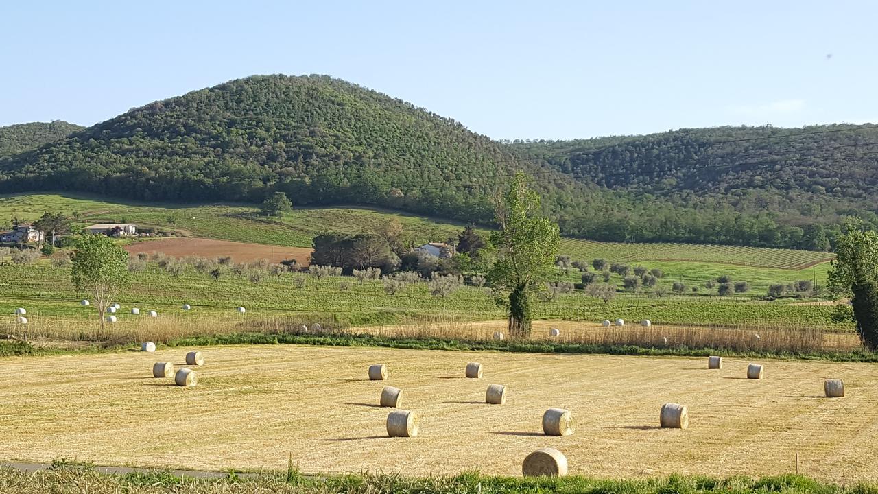 Agriturismo Cupido Montiano  Bagian luar foto